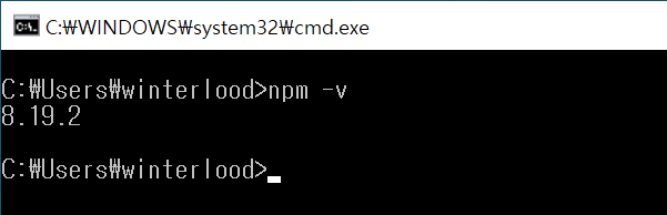 npm 버전 확인